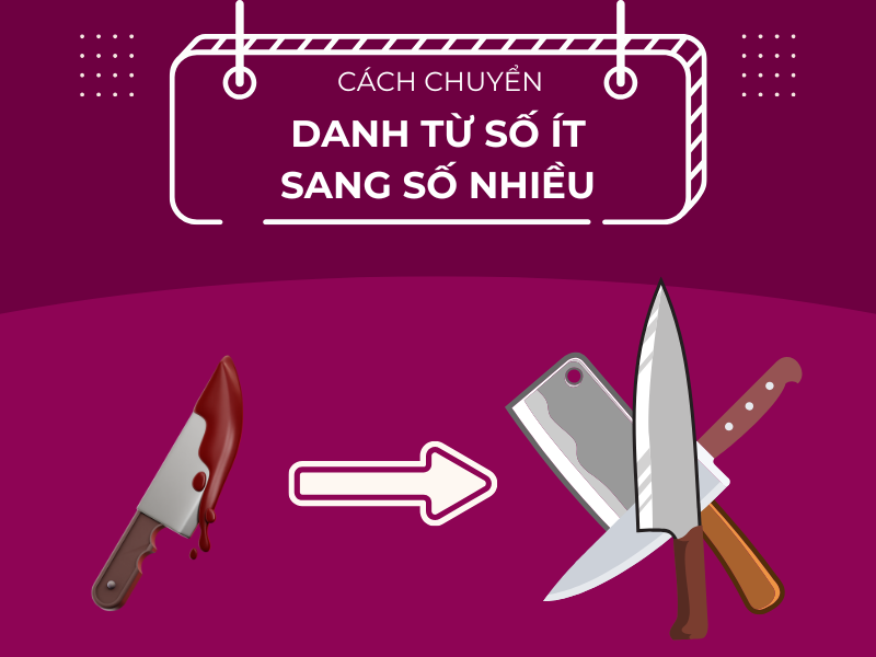 Tất cả cách chuyển danh từ số ít sang danh từ số nhiều