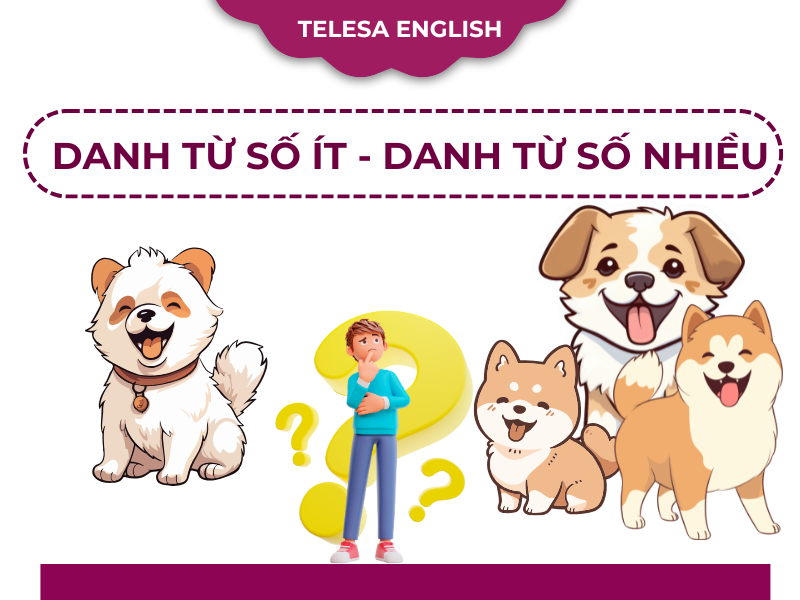 Danh từ số ít và danh từ số nhiều: Ngữ pháp và bài tập đáp án đầy đủ nhất
