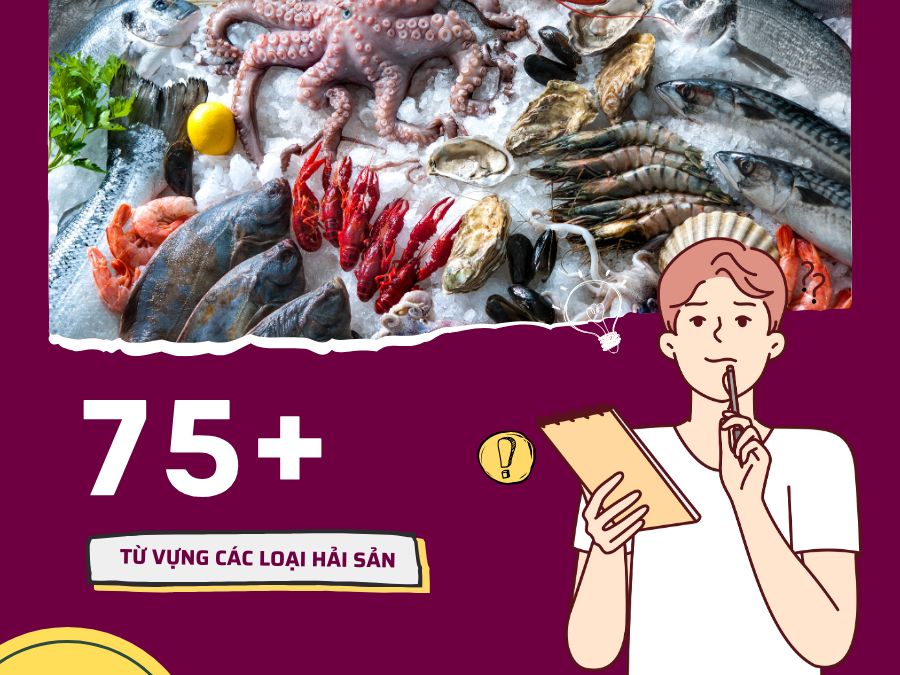 75+ Từ vựng tiếng Anh về các loại Hải Sản thông dụng